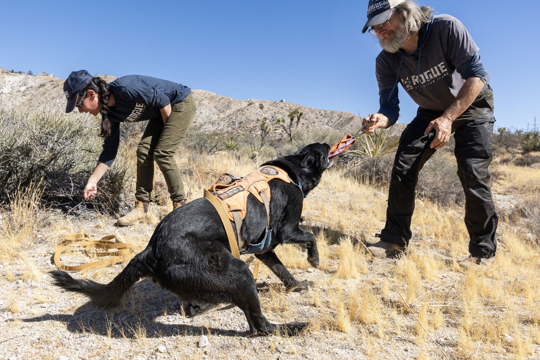 US-NEWS-ENV-CALIF-POOP-HUNTING-DOGS-FILEPIC-1-LA
