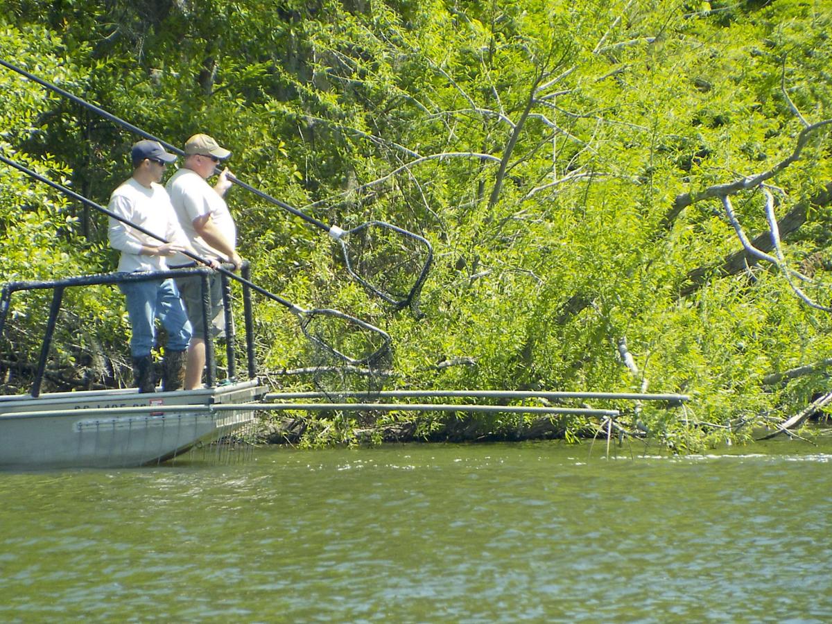 SCDNR Fish