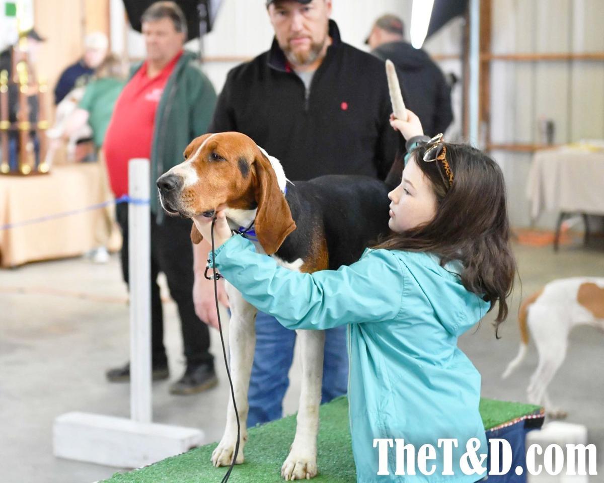 Grand American 2021 On Schedule For January With Minor Changes Local Thetandd Com