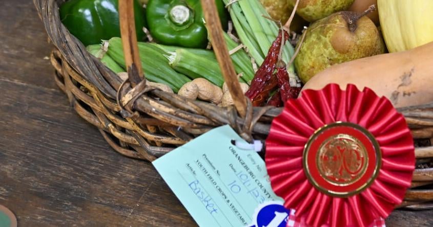 Food conservation winners Biology Diagrams