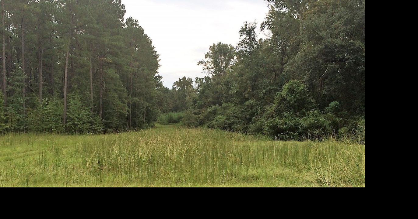 RMC to buy St. Matthews land; CARES Act boosts hospital finances