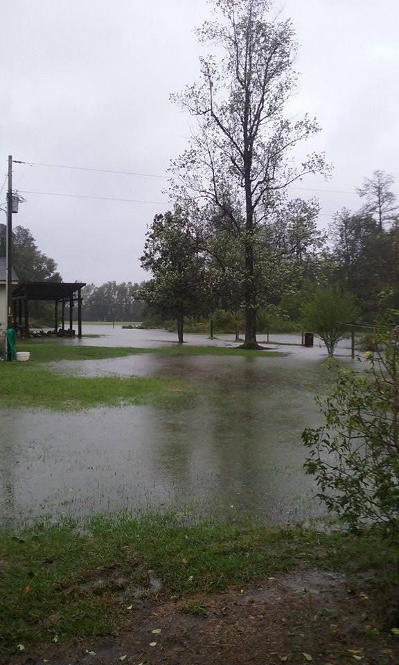 FROM THE READERS Photos of Hurricane Matthew News