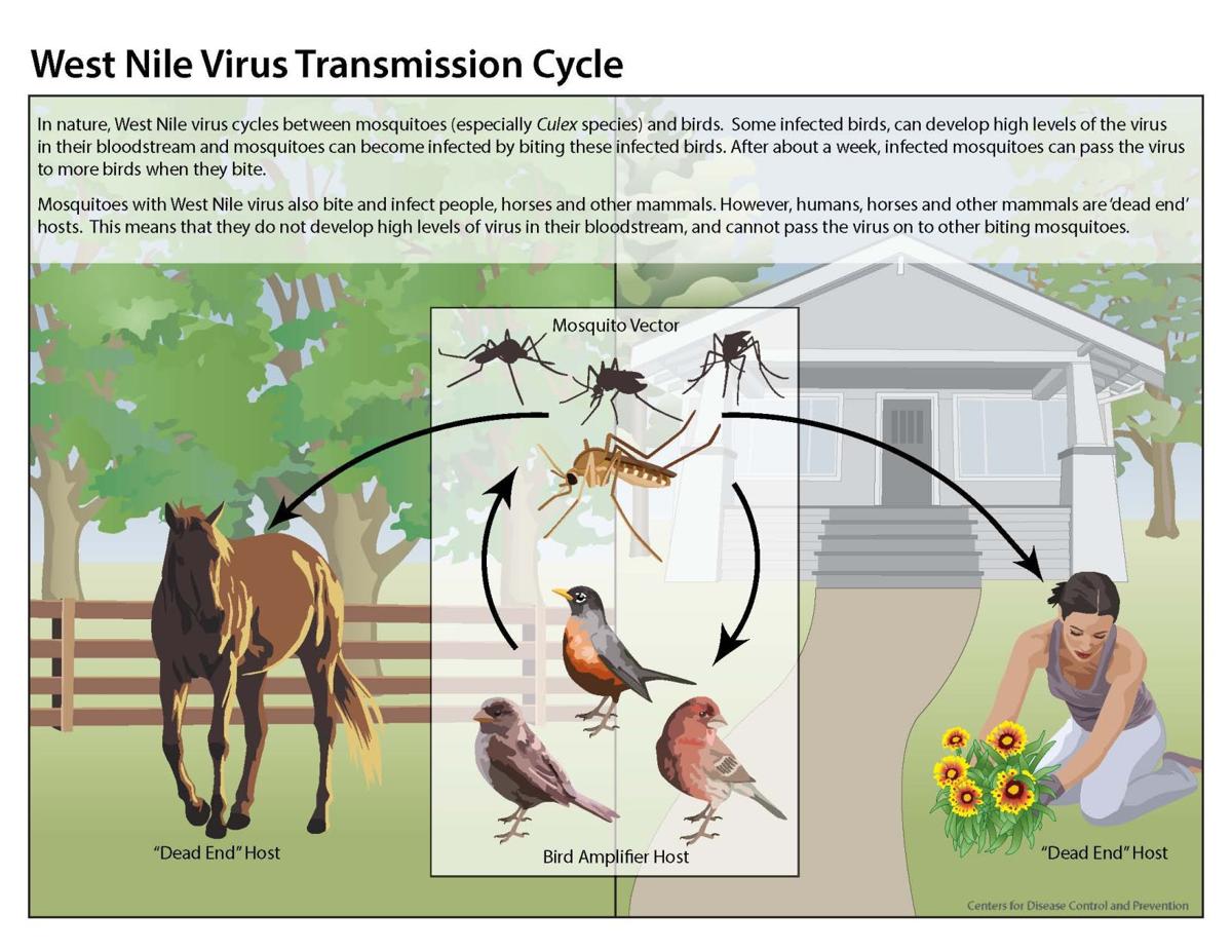 DHEC reports first West Nile Virus death in S.C. in 2018
