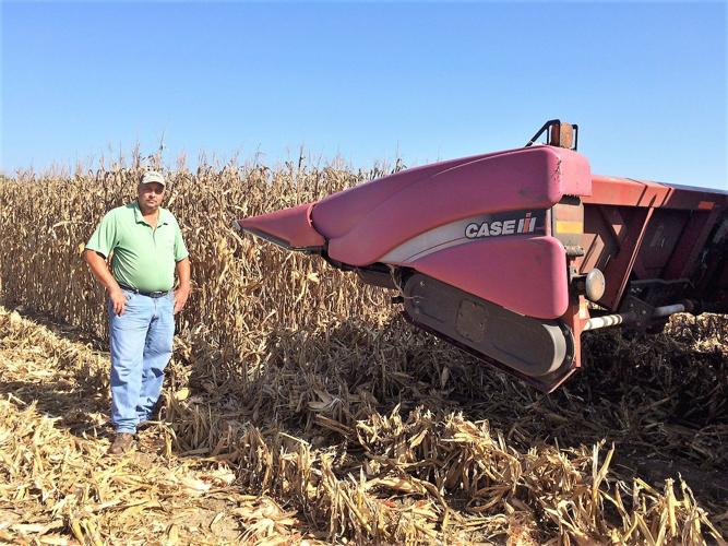 Kaigler Corn