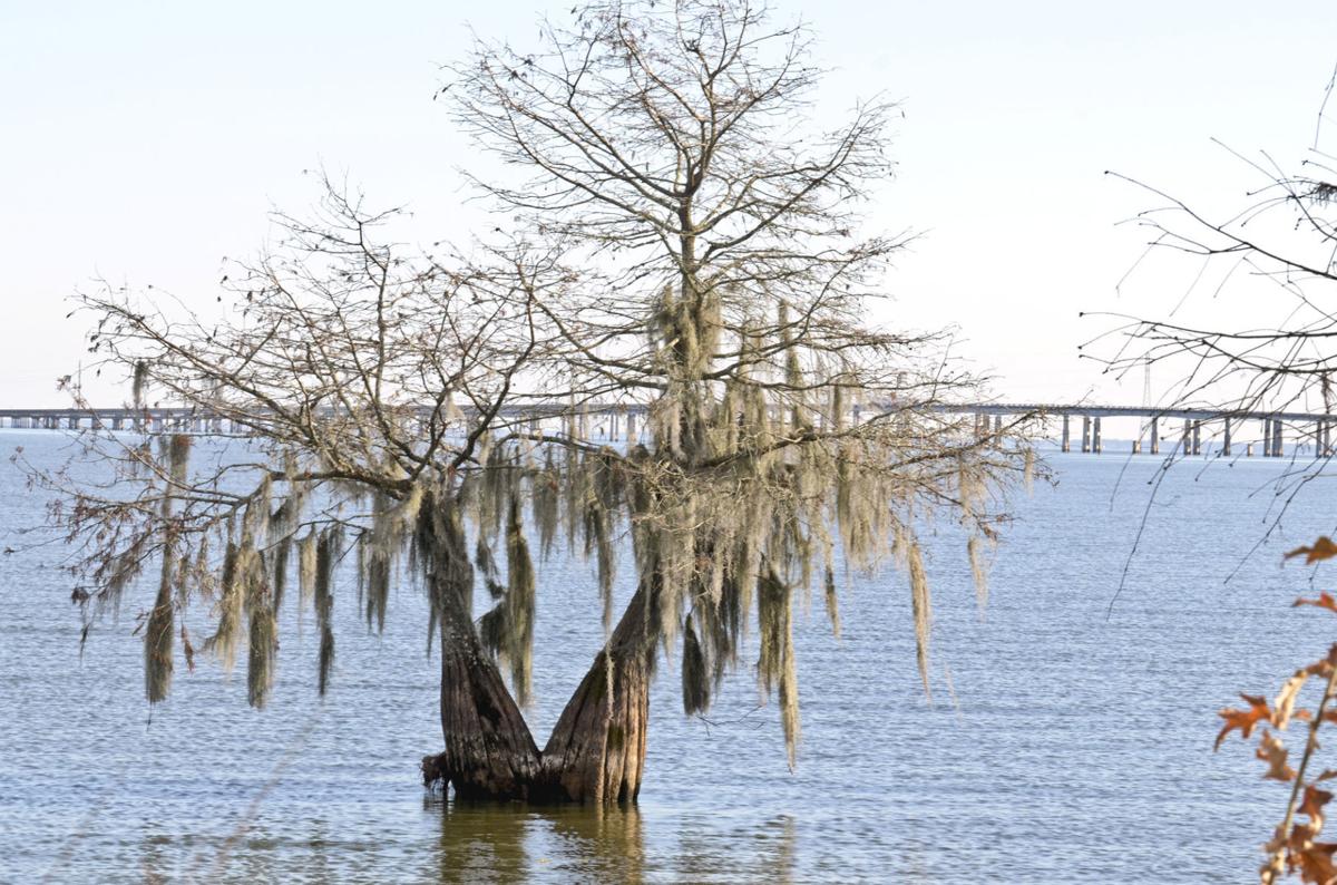 Santee State Park
