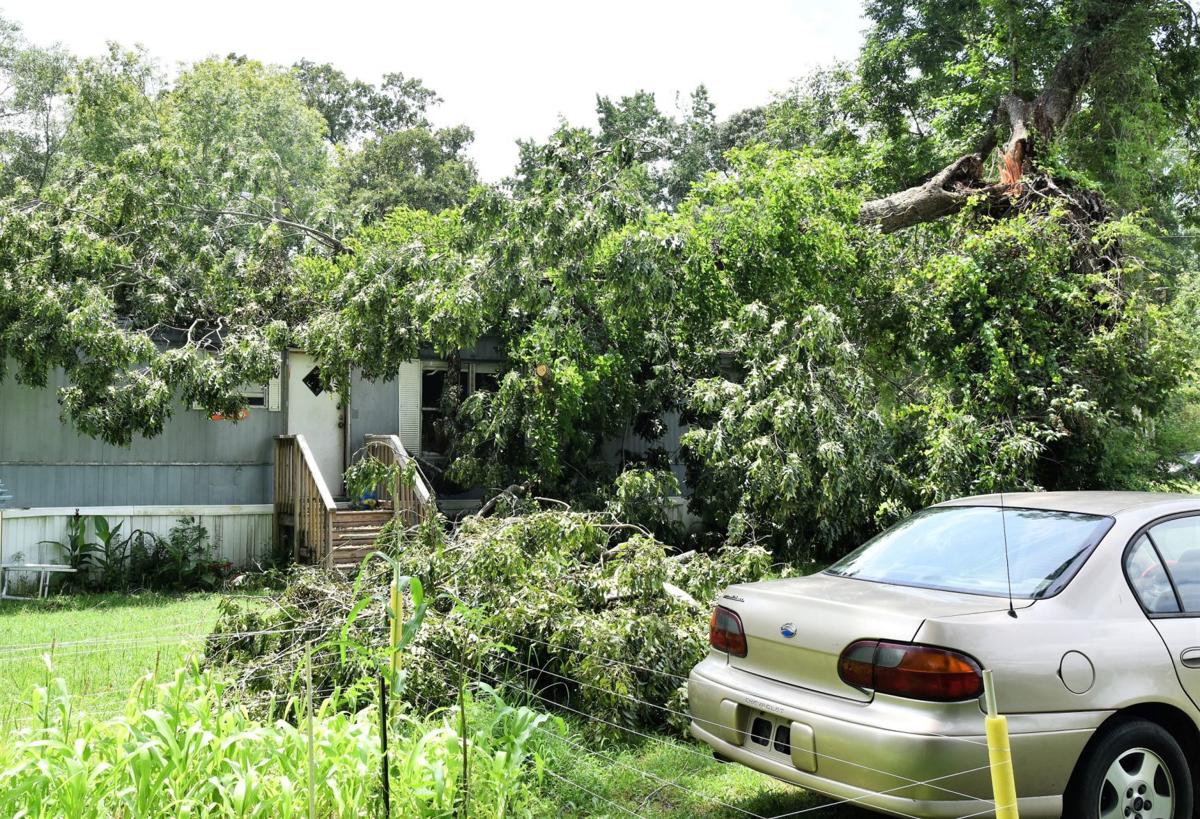 Storm blows tree onto home