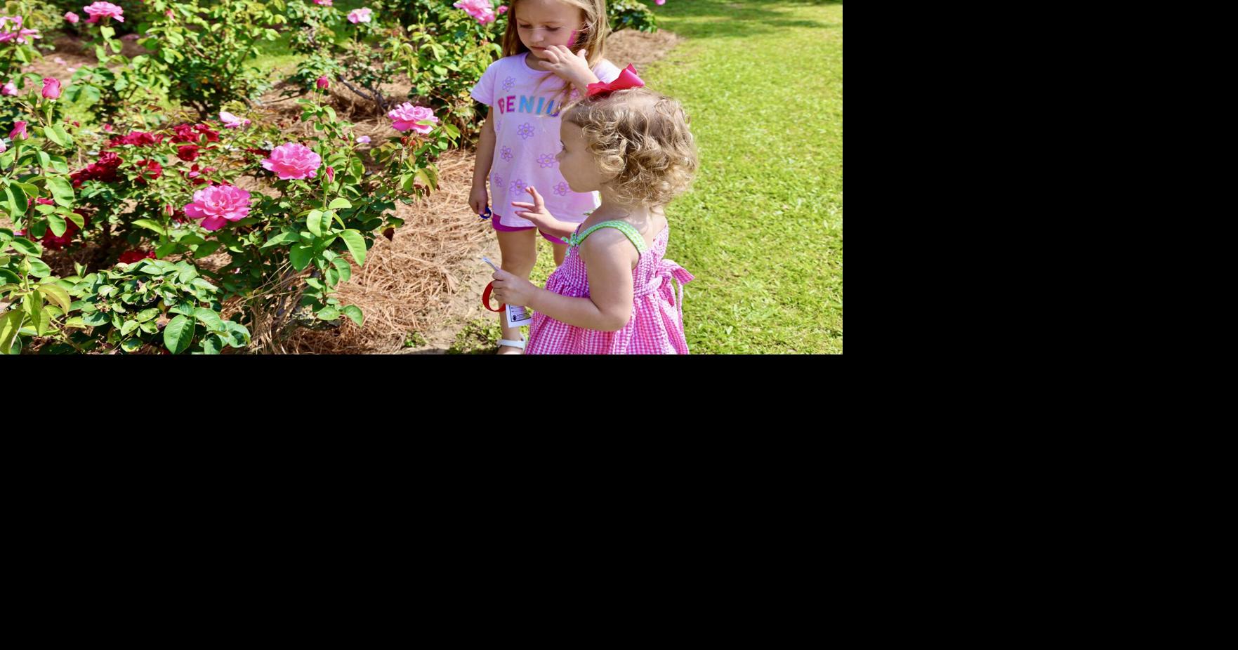 IN PHOTOS The Orangeburg Rose Festival 2022