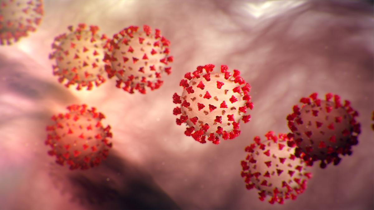 2020 Virus 2020 Virus
