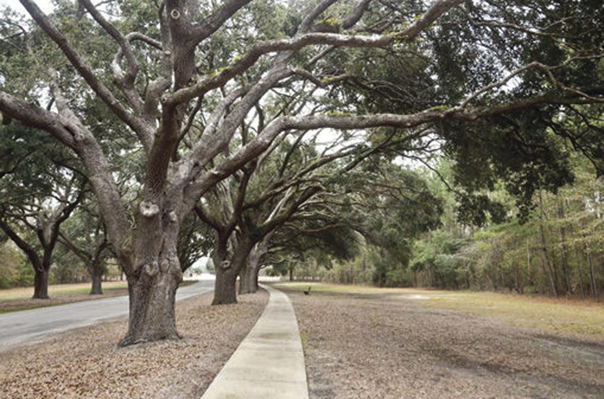 The Oaks entrance