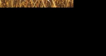 SC Farm Report on Monday - Vimarsana News