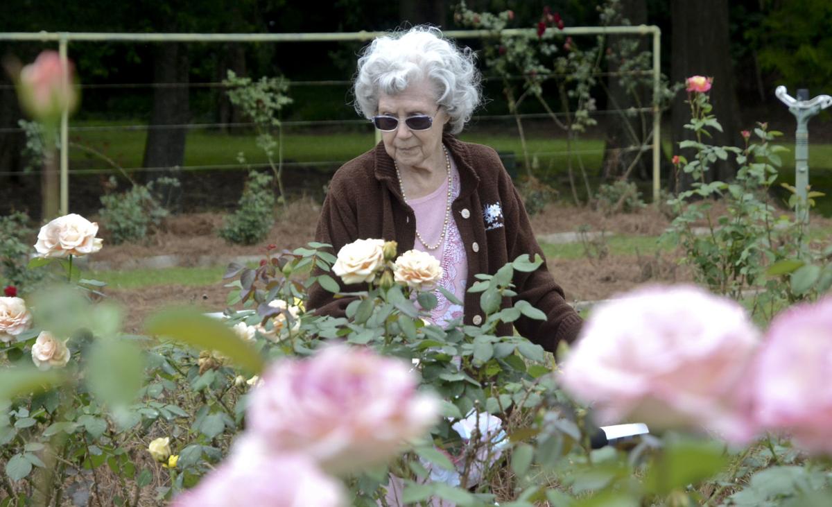 Gardens draw visitors to Orangeburg Festival of Roses