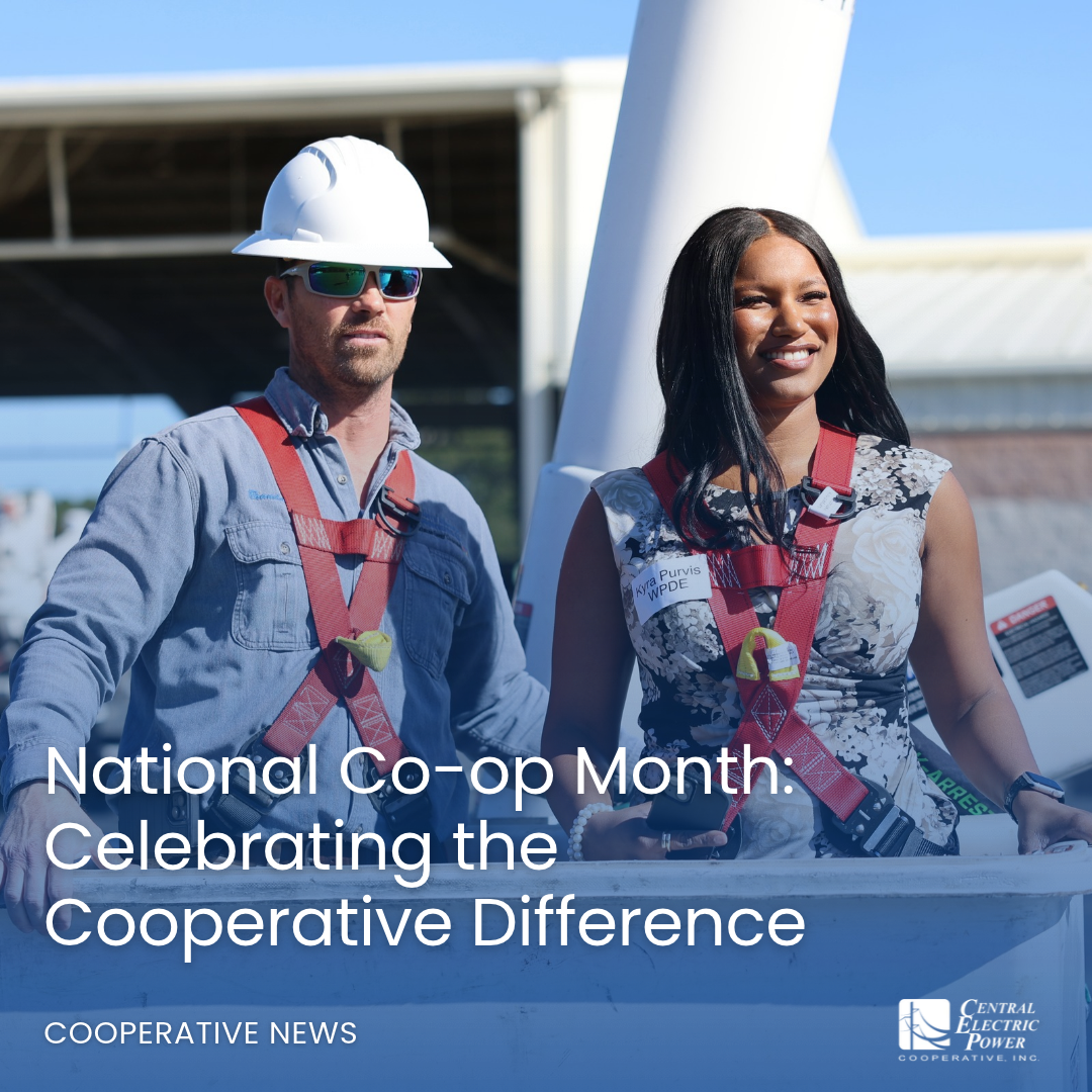 National Co-op Month: celebrating the cooperative difference
