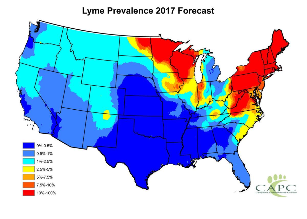 Lyme disease forecast map targets rising tide of ticks | Life and Style