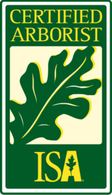 Certified Arborist.png