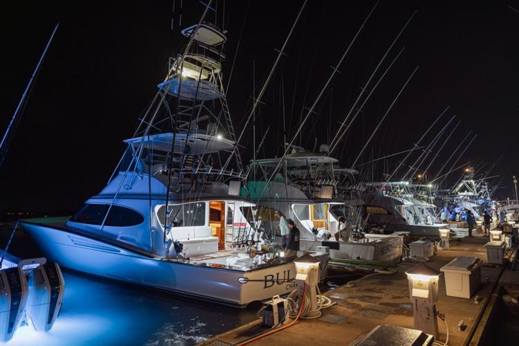 A Carolina Billfish Classic for the Dads