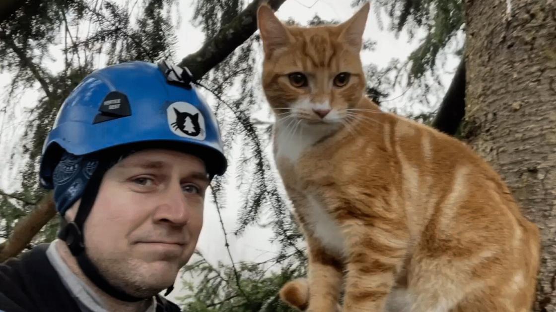 These two men have saved 4,000 cats from trees in Western ...