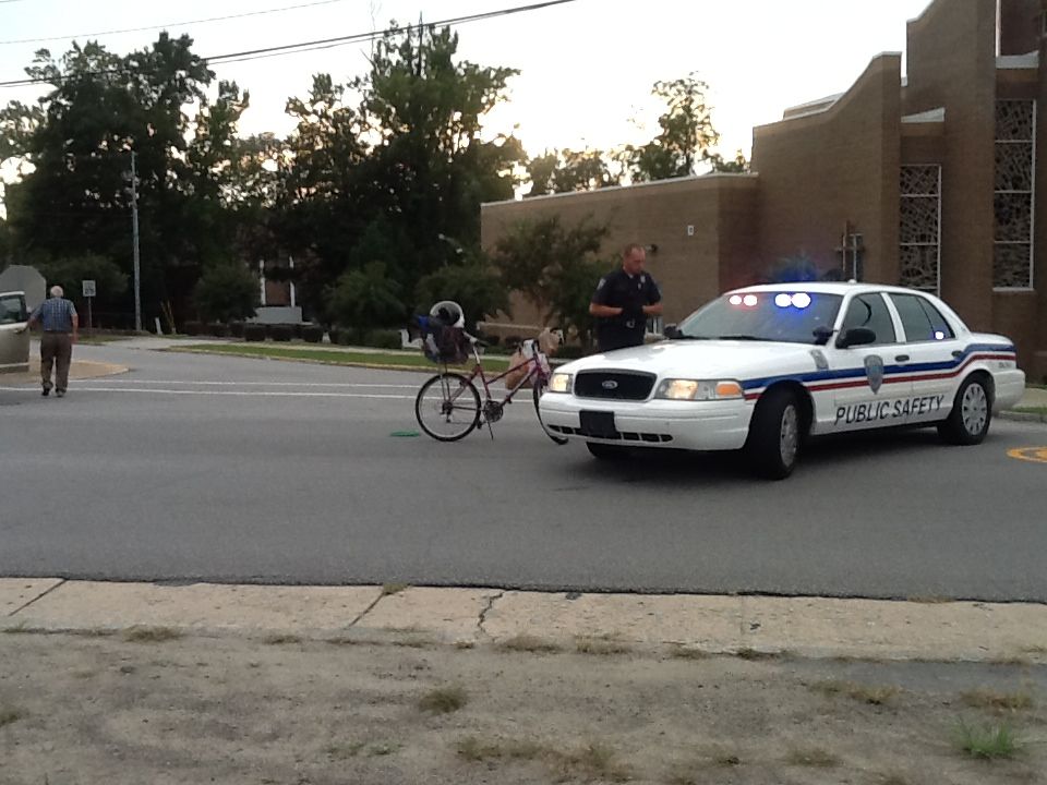 Amelia accident The News Spot