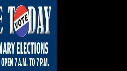 Primary Elections Today Statewide Local Races On Ballots Local Thetandd Com
