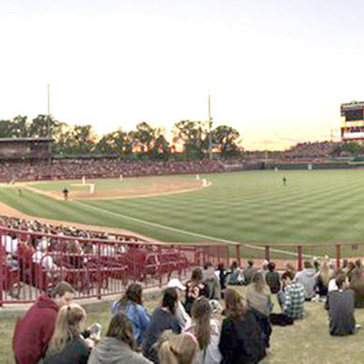 Gamecocks Host Texas A M In Weekend Series Sports Thetandd Com