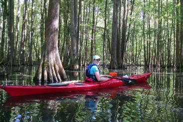 Fisheagle Tours | boat tours | lake marion | Santee, SC ...