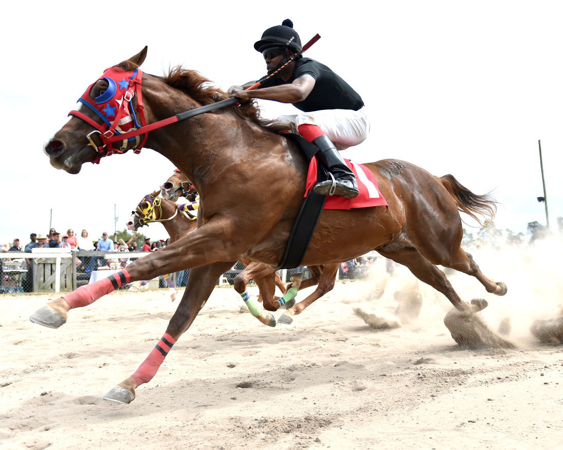 Small Town Big Timing a fitting name for winner of Elloree Cup at