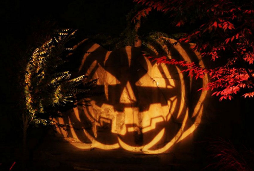 Riverbanks Zoo Boo and the Zoo