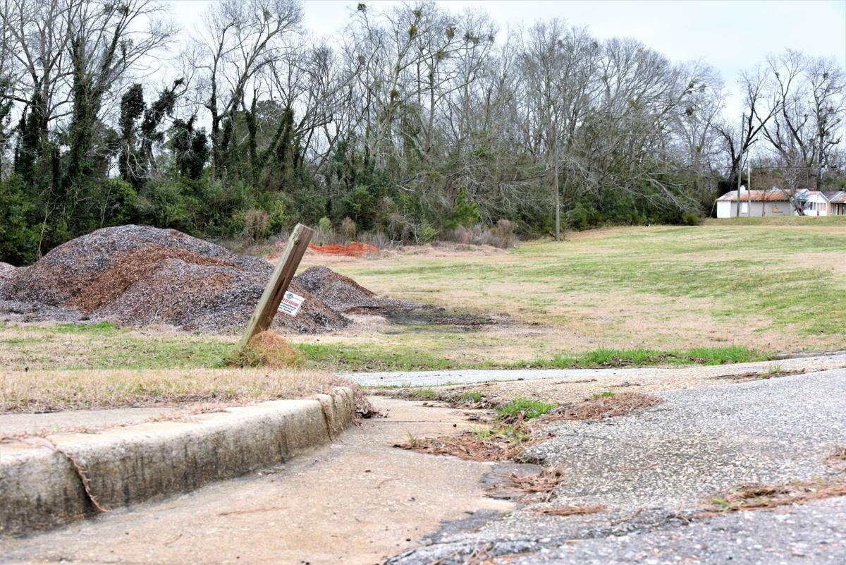 Skate Park Land