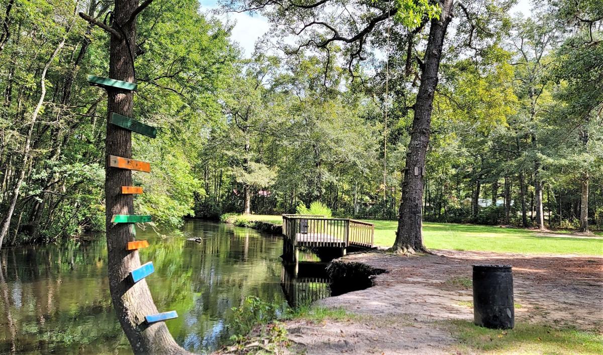 Carson Park