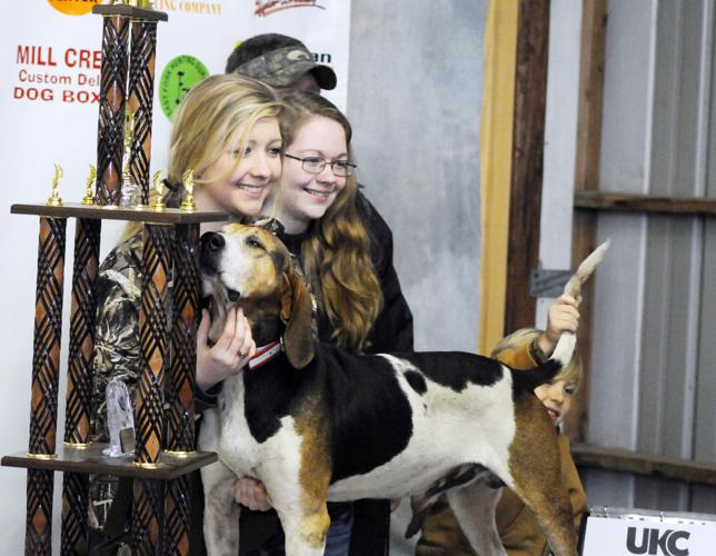 son los basset hound euro sanos