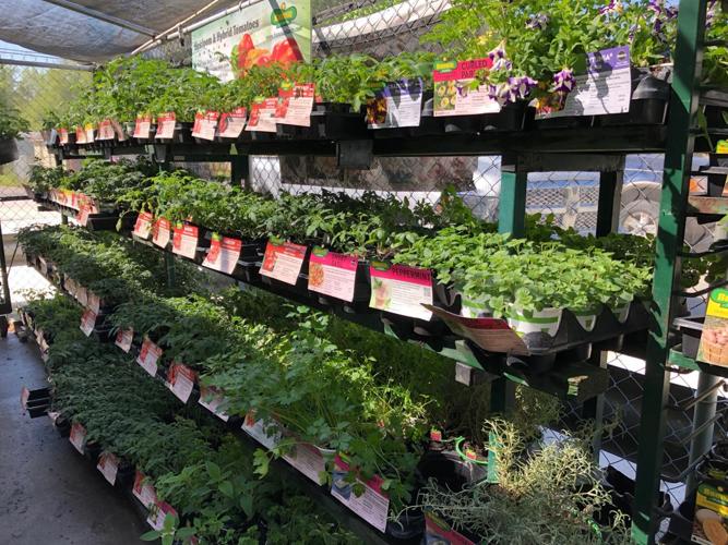 Orangeburg Milling Company