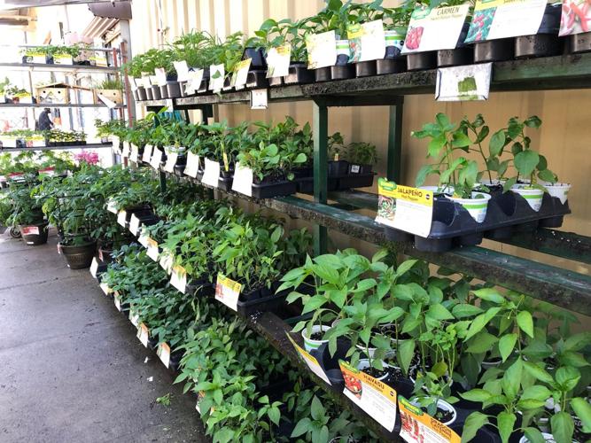 Orangeburg Milling Company