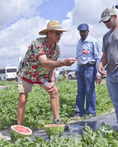 Watermelon Field Day