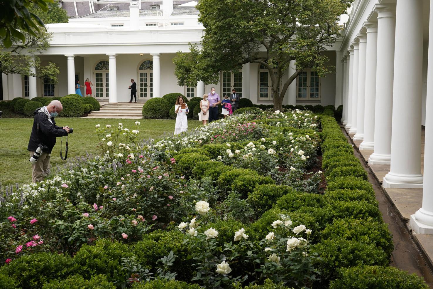 Photos An upclose look at the newly renovated White House Rose Garden