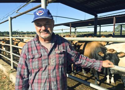 Livestock Allen Riddle