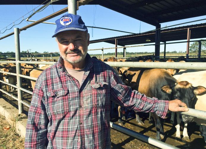 Livestock Allen Riddle