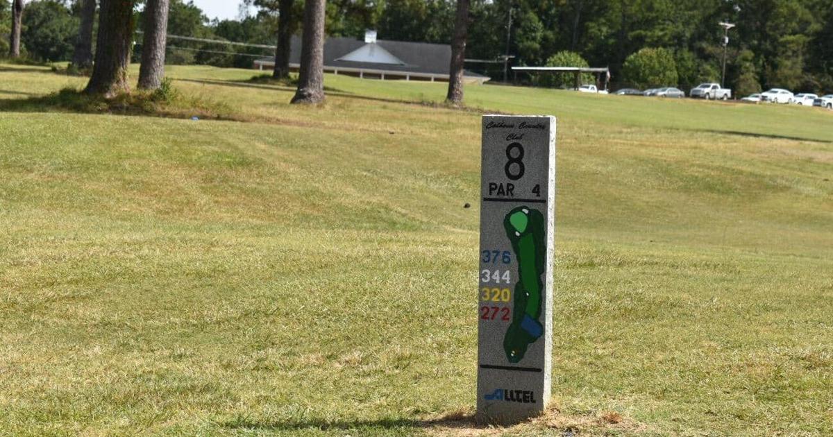 Calhoun art class makes its mark at golf course