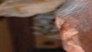 Brice W Bishop Jr Ehrhardt Obituaries Thetandd Com