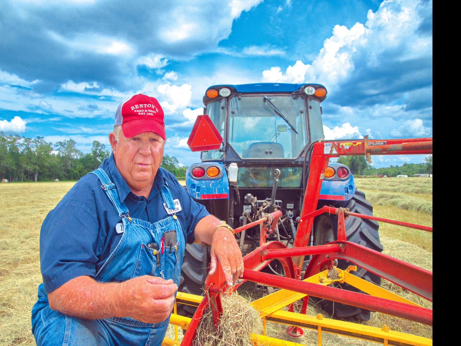 Making Hay While The Sun Shines Business Thetandd Com