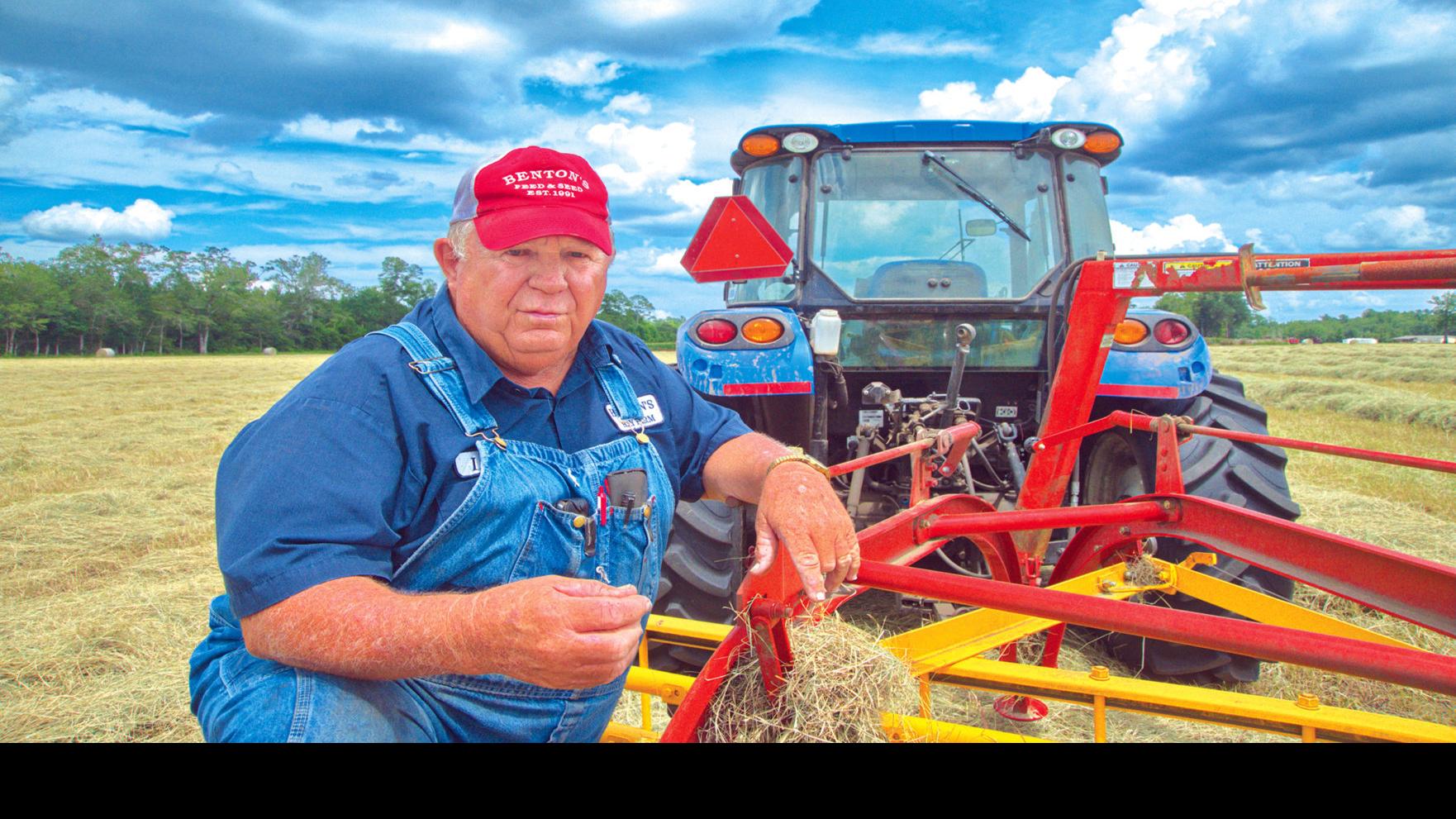 Making Hay While The Sun Shines Business Thetandd Com