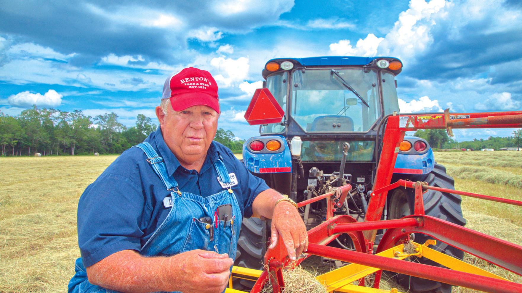 Making Hay While The Sun Shines Business Thetandd Com Making Hay While The Sun Shines Business Thetandd Com