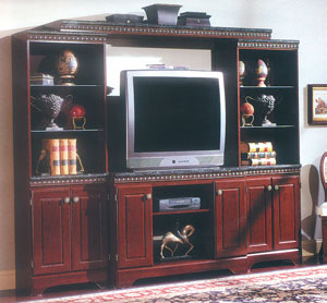 Entertainment Center