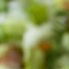 Jamie Oliver Offers A Kid Friendly Chopped Salad Food Cooking