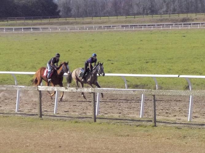 LOOKBACK 55th Annual Elloree Trials promise family fun, heartpounding action