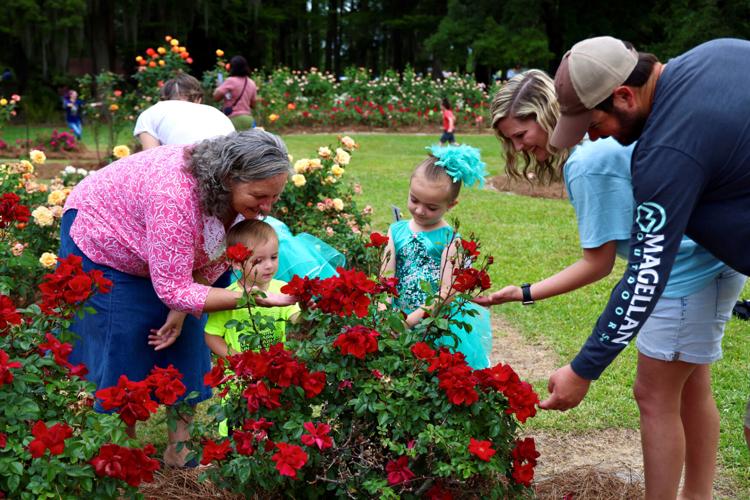 Orangeburg’s Rose Festival about family, food, flowers