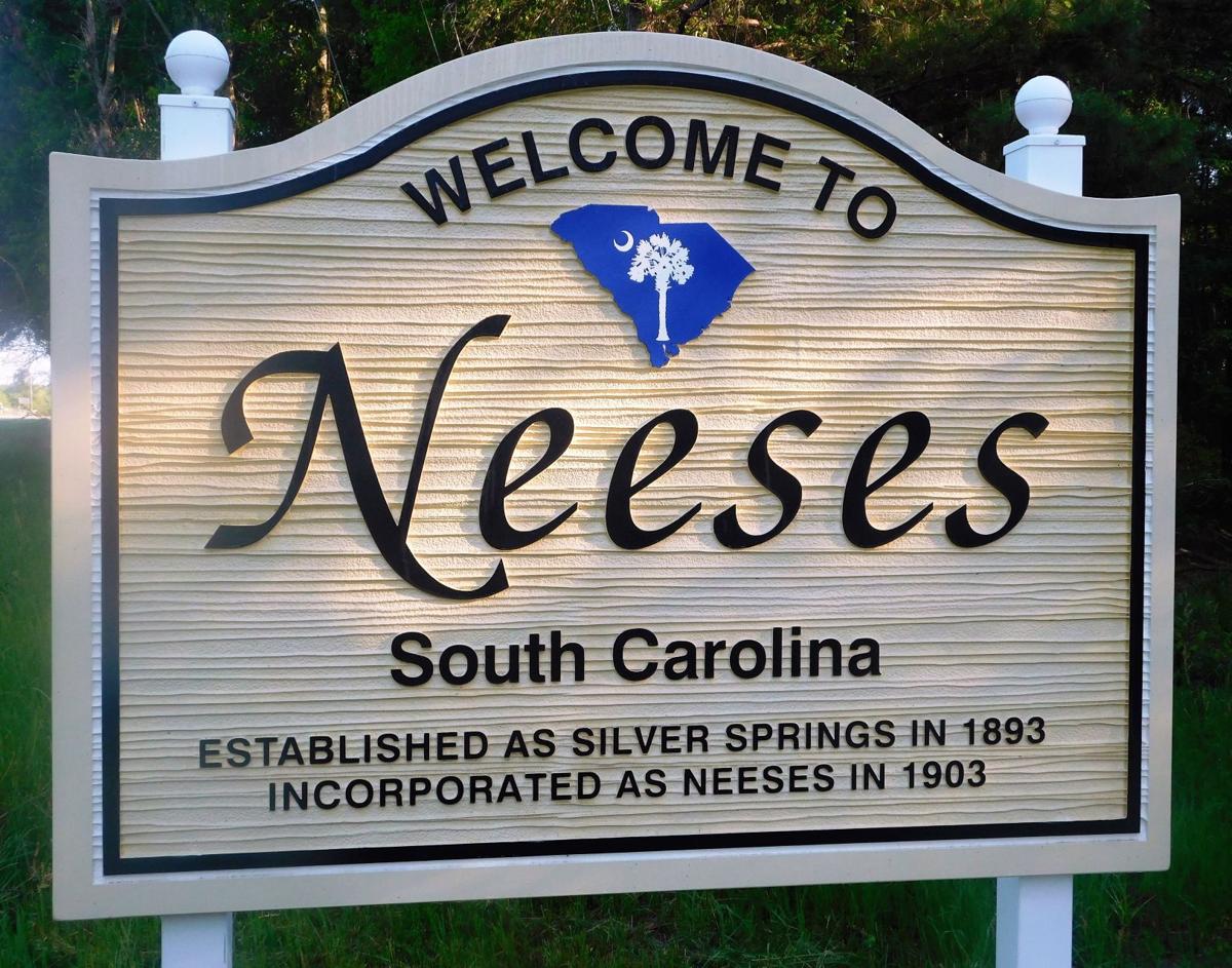 NEESES TOWN COUNCIL Over 2,300 raised at Labor Day event