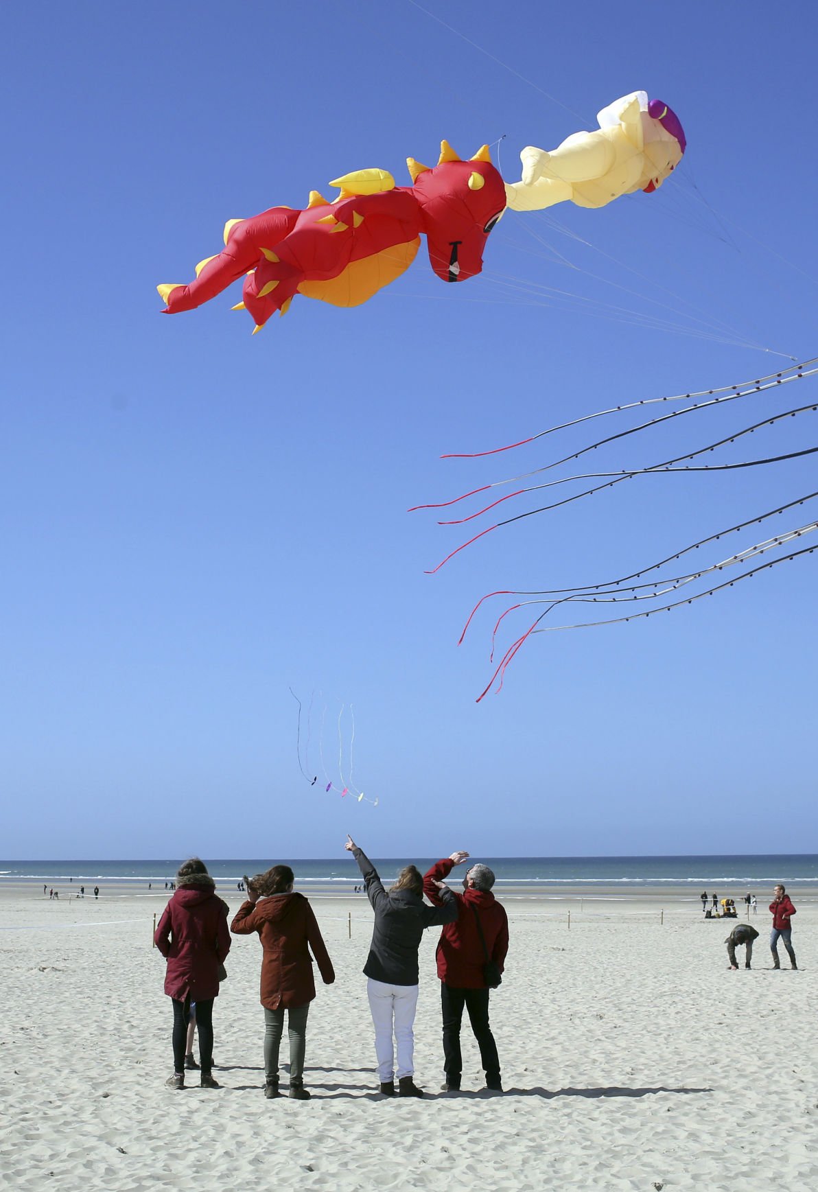 Photos France celebrates 31st International Kite Festival Lifestyles