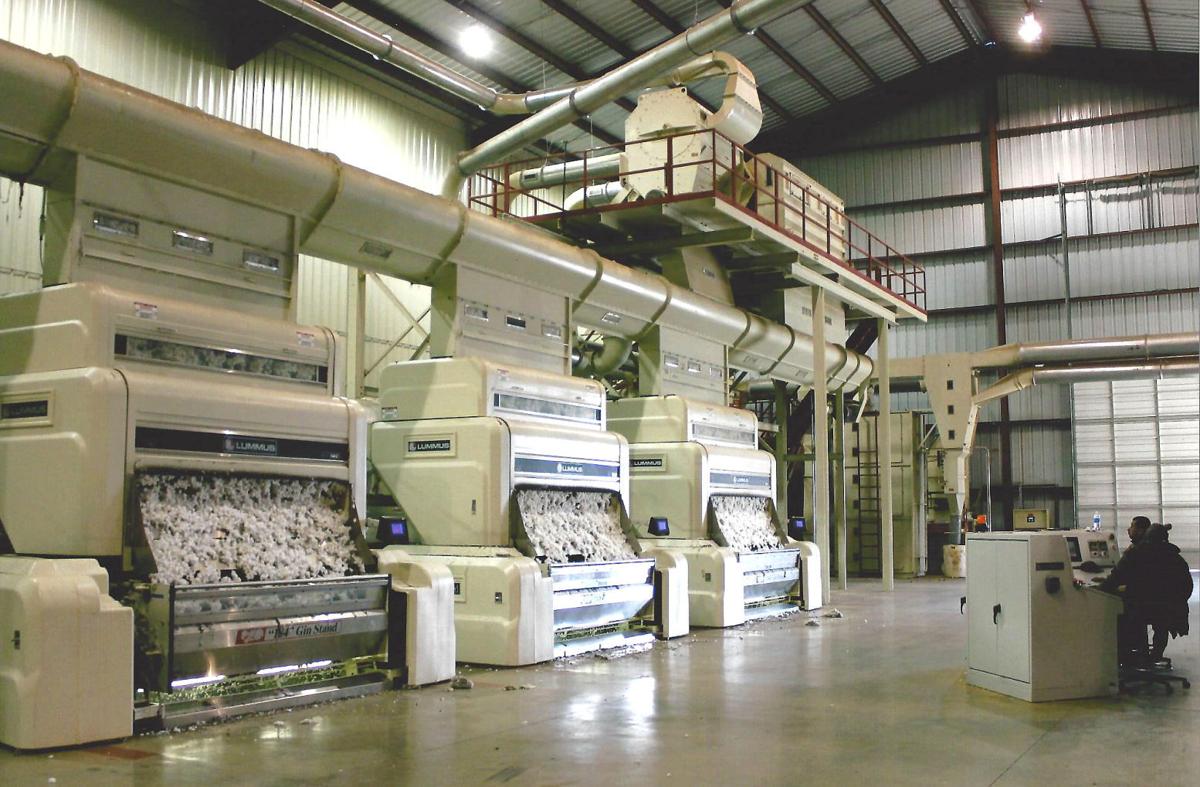 FACES & PLACES/DAY 49 Cotton still king Calhoun County home to 3