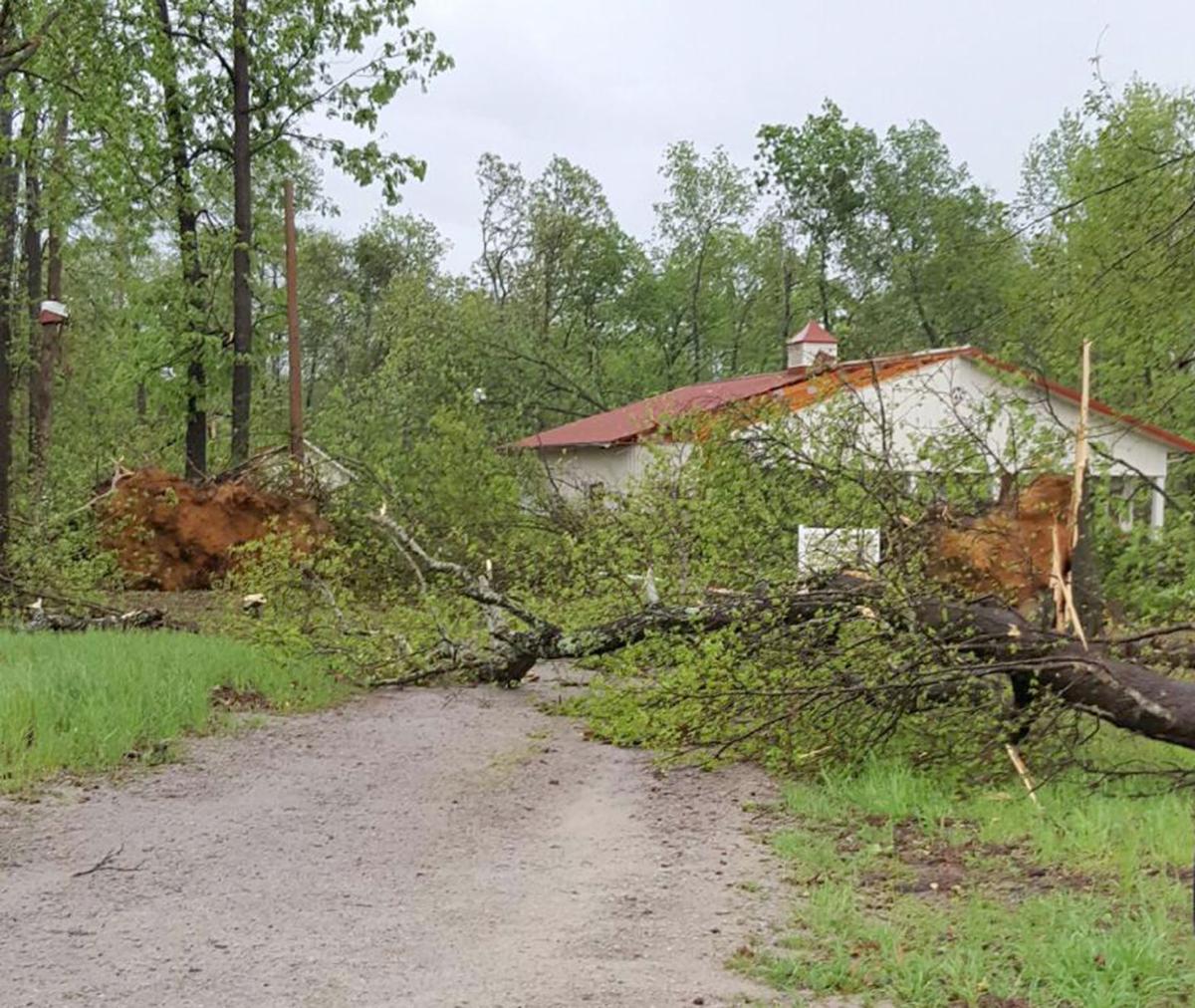 Calhoun damage may be from tornado; strong storms down trees and power