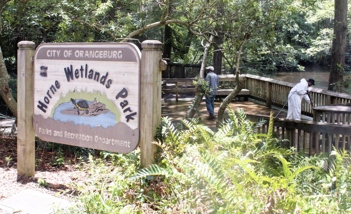 Horne Wetlands