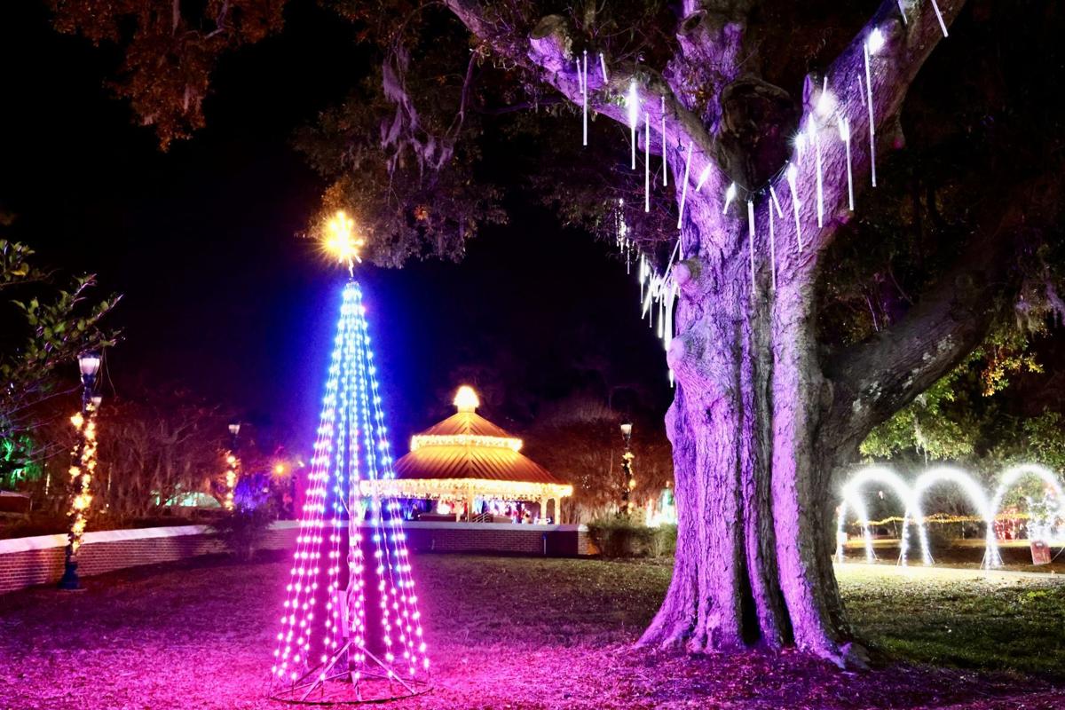 Edisto Gardens Orangeburg Sc Christmas Lights Fasci Garden